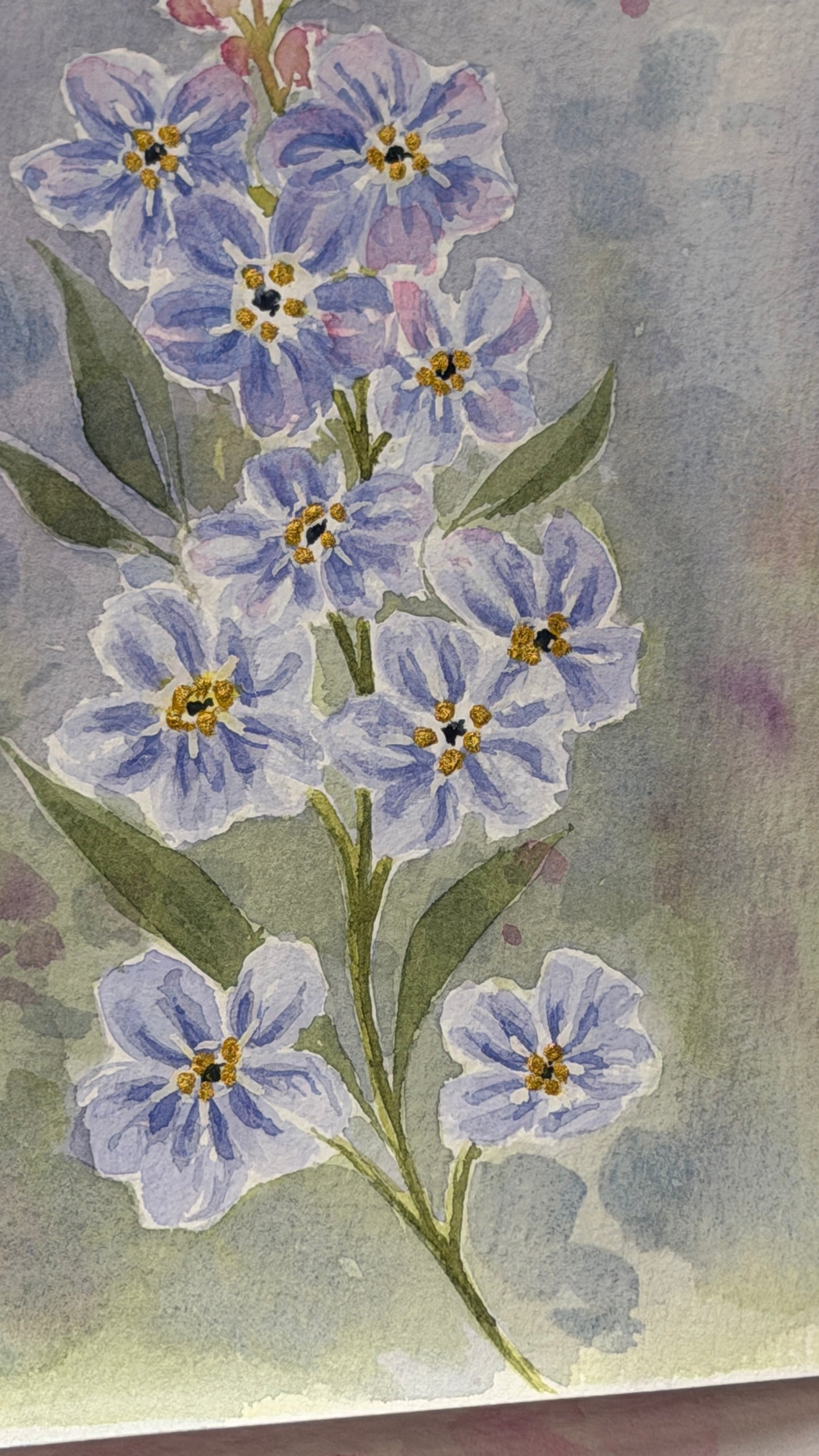 Forget-me-nots