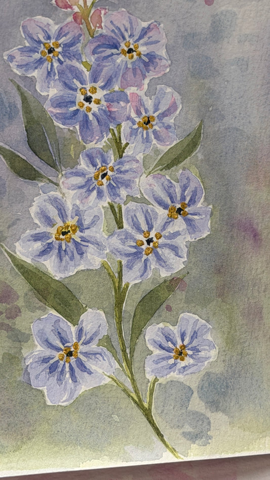 Forget-me-nots