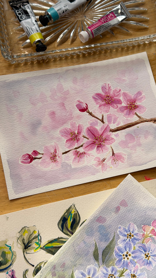 Cherry Blossoms