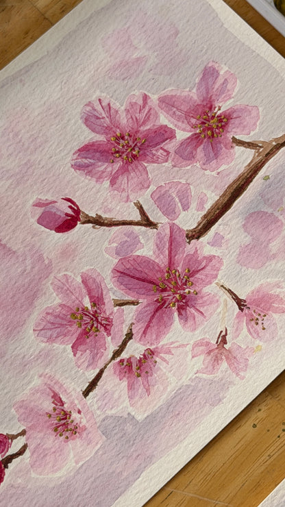 Cherry Blossoms